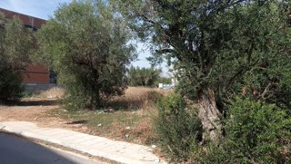 Οικόπεδο 520τ.μ.