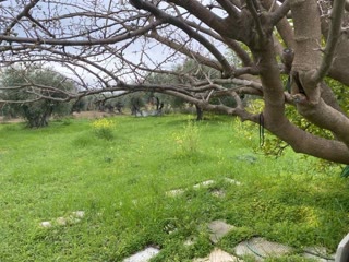 Οικόπεδο 913 τ.μ.
