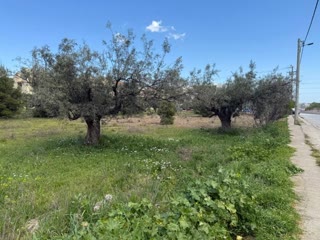 Οικόπεδο 960τ.μ.