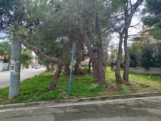 Οικόπεδο 500τ.μ.