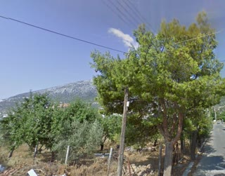 Οικόπεδο 220τ.μ.