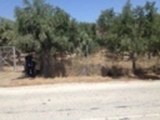 Αγροτεμάχιο 1380 τ.μ.