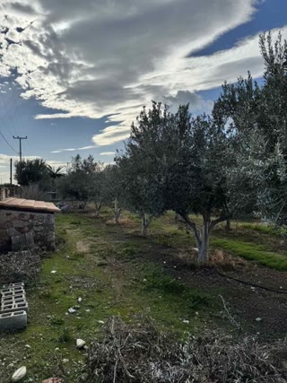 Αγροτεμάχιο 5023 τ.μ.