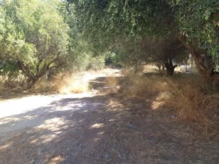 Οικόπεδο 415τ.μ.