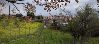 Οικόπεδο 395τ.μ.