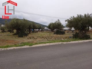Οικόπεδο 753τ.μ.