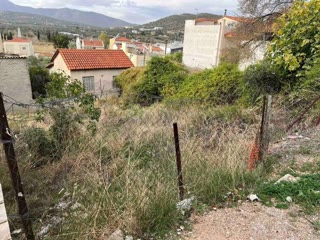 Οικόπεδο 237 τ.μ.
