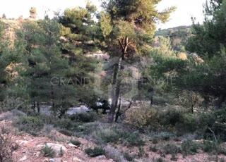 Οικόπεδο 4500τ.μ.