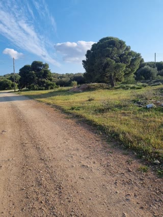 9200 m² Plot