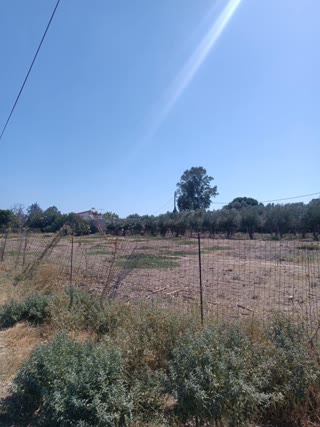 Οικόπεδο 1120 τ.μ.