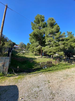 570τ.μ. Αγροτεμάχιο