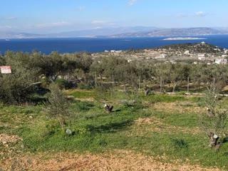 600τ.μ. Οικόπεδο