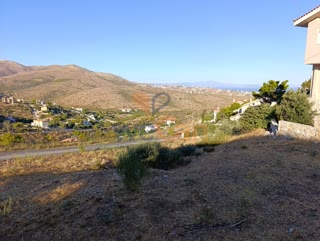 Οικόπεδο 1029 τ.μ.