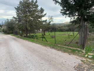 Αγροτεμάχιο 1000τ.μ.