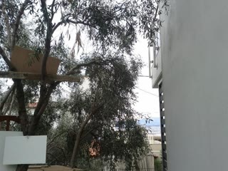 Οικόπεδο 268τ.μ.