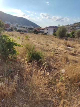 Οικόπεδο 250τ.μ.