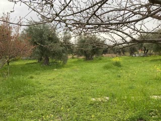 Οικόπεδο 913 τ.μ.