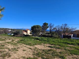 Αγροτεμάχιο 4002 τ.μ.
