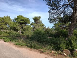 2030 m² Plot