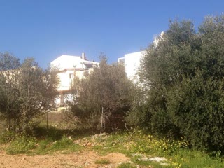Οικόπεδο 432τ.μ.