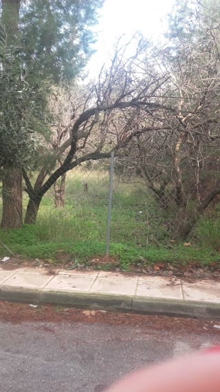 Οικόπεδο 570τ.μ.