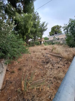 270 m² Plot