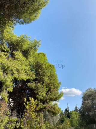 Αγροτεμάχιο 4300 τ.μ.