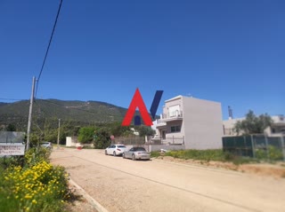 Οικόπεδο 645τ.μ.