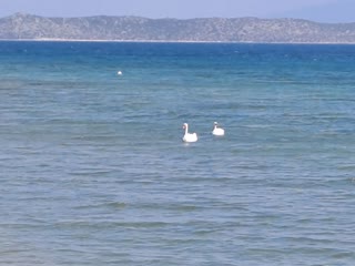Οικόπεδο 757τ.μ.