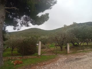 Οικόπεδο 630 τ.μ.