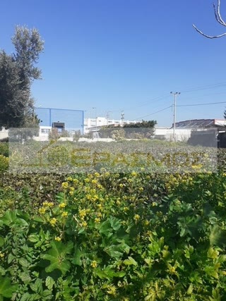 Αγροτεμάχιο 1090 τ.μ.