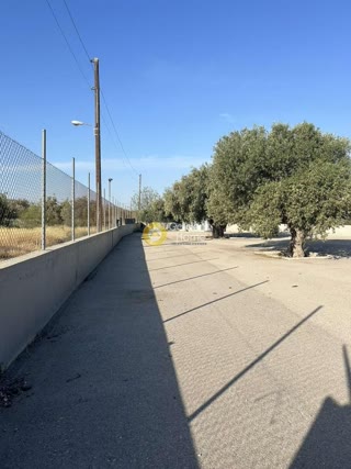1665τ.μ. Λοιπές κατηγορίες