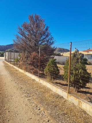 Αγροτεμάχιο 880τ.μ.