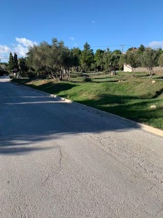 Οικόπεδο 1850 τ.μ.