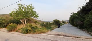 Οικόπεδο 1500 τ.μ.