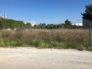 Οικόπεδο 1989 τ.μ.