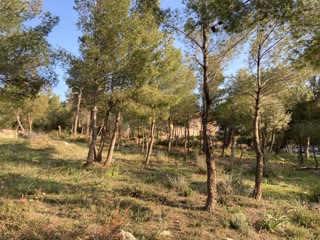 Οικόπεδο 495τ.μ.