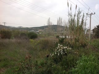 Οικόπεδο 2005 τ.μ.