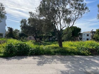 Οικόπεδο 786 τ.μ.