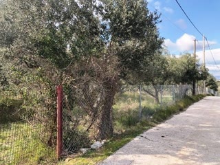 Αγροτεμάχιο 10765 τ.μ.