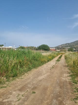 Οικόπεδο 500τ.μ.