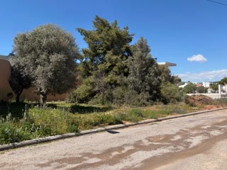 Οικόπεδο 491τ.μ.