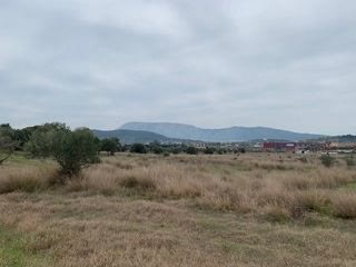 Οικόπεδο 10.000 τ.μ.