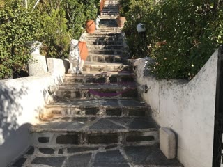 Οικόπεδο 303 τ.μ.