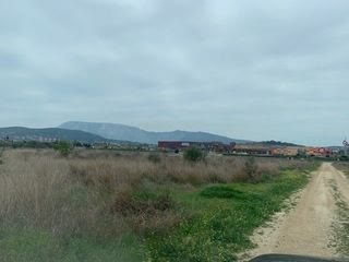 Οικόπεδο 10.000 τ.μ.
