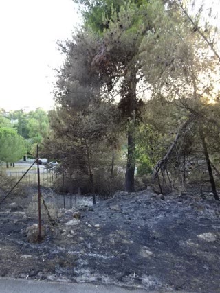 Οικόπεδο 660τ.μ.
