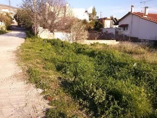Οικόπεδο 288τ.μ.