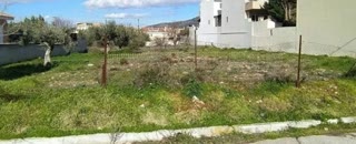 Οικόπεδο 805 τ.μ.