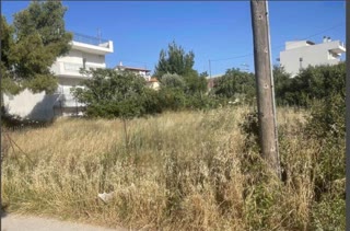 Οικόπεδο 232τ.μ.