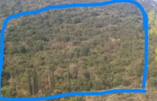 Αγροτεμάχιο 10.500 τ.μ.